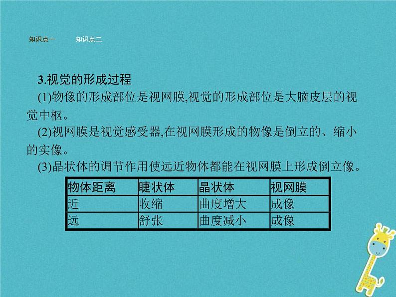 2021年济南版七年级生物下册3.5.4人体对周围世界的感知 课件(含答案)06