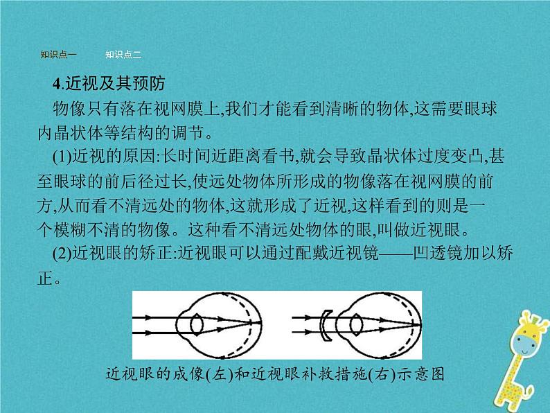 2021年济南版七年级生物下册3.5.4人体对周围世界的感知 课件(含答案)07