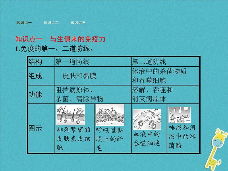 2021年济南版七年级生物下册3.6.1人体的免疫功能 课件(含答案)02