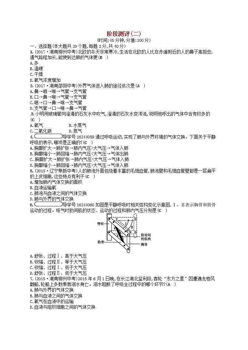 2021年济南版七年级生物下册阶段测评(二)(含答案)第1页