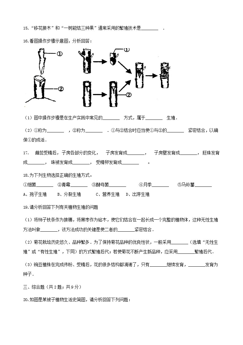 2021年人教版八年级生物下册 第1章第1节 植物的生殖 同步测试(含答案)03