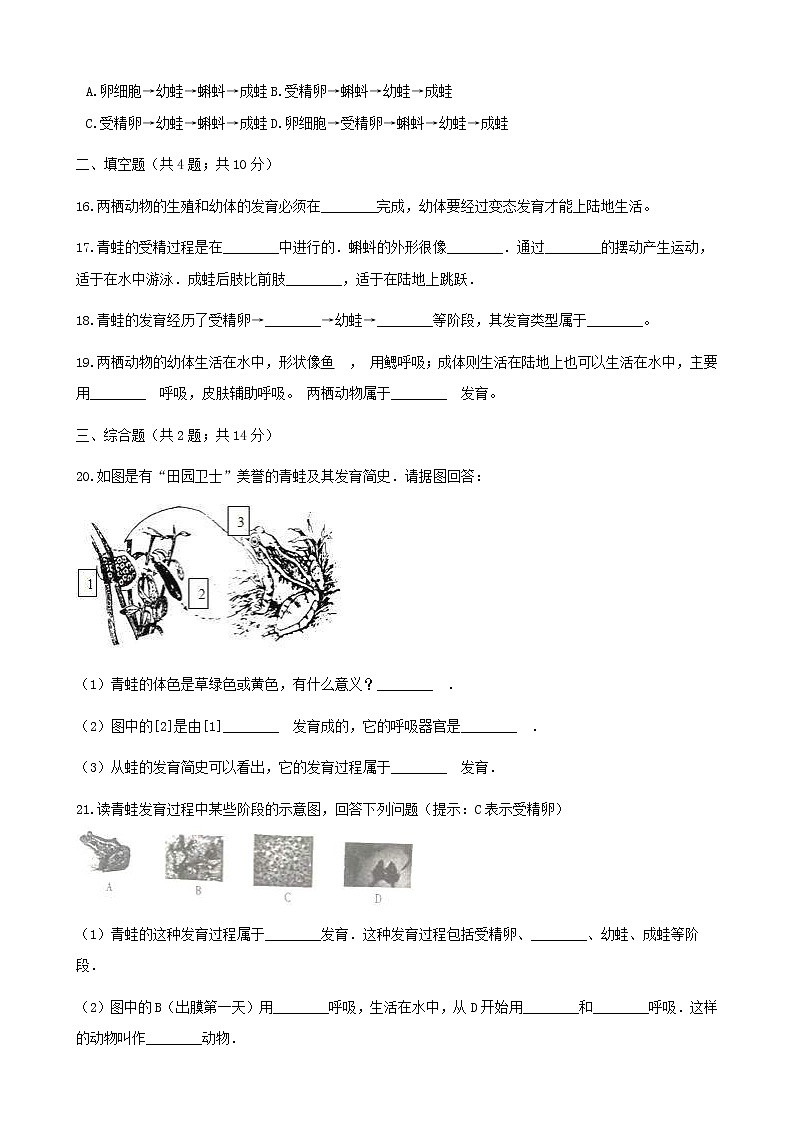 2021年人教版八年级生物下册 第1章第3节 两栖动物的生殖和发育 同步测试(含答案)03