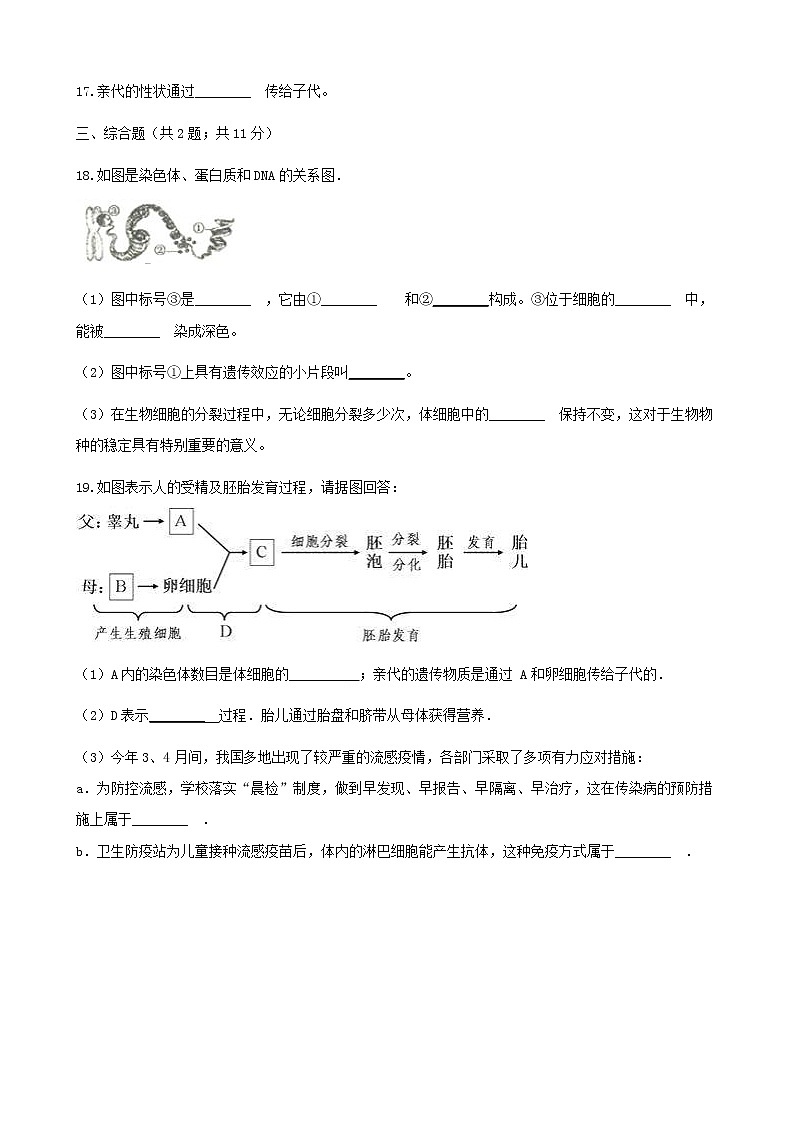 2021年人教版八年级生物下册 第2章第2节 基因在亲子代间的传递 同步测试(含答案)03