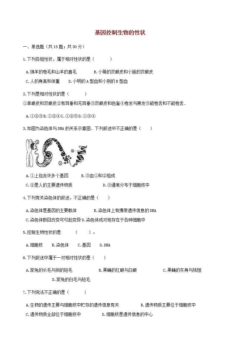 2021年人教版八年级生物下册 第2章第1节 基因控制生物的性状 同步测试(含答案)01