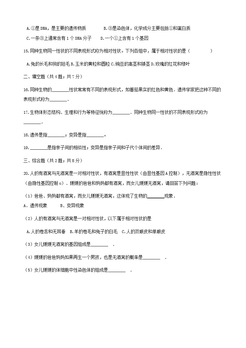 2021年人教版八年级生物下册 第2章第1节 基因控制生物的性状 同步测试(含答案)03