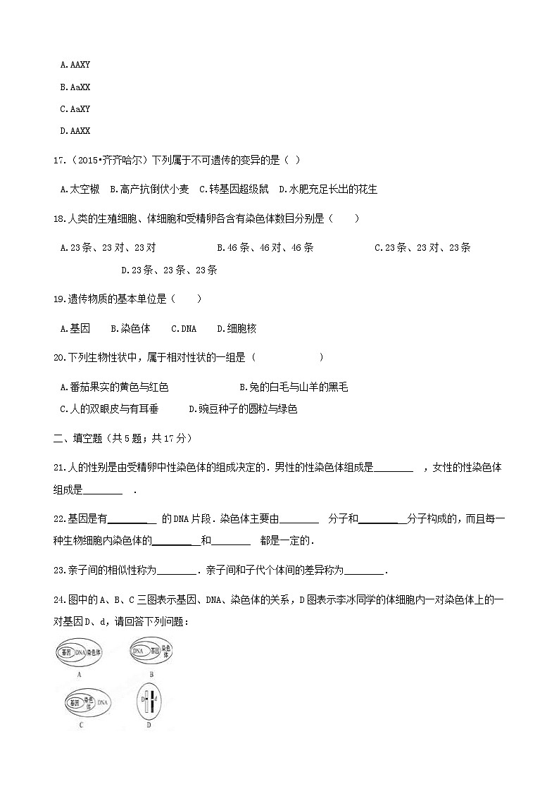 2021年人教版八年级生物下册 第2章生物的遗传和变异 章节测试含解析(含答案)03