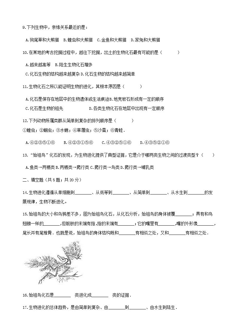 2021年人教版八年级生物下册 第3章第2节 生物进化的历程 同步测试(含答案)02