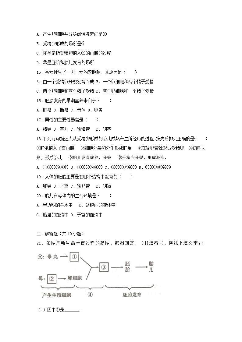 2021年人教版七年级生物下册 第1章第2节 人的生殖 提升题(含答案)03