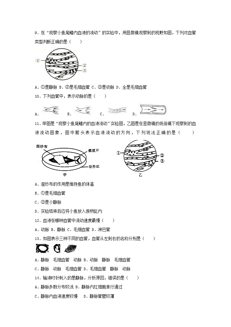 2021年人教版七年级生物下册 第4章第1节 血流的管道-血管 提升题(含答案)03
