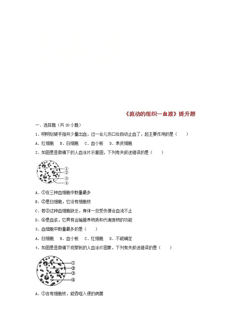 2021年人教版七年级生物下册 第4章第1节 流动的组织-血液 提升题(含答案)01
