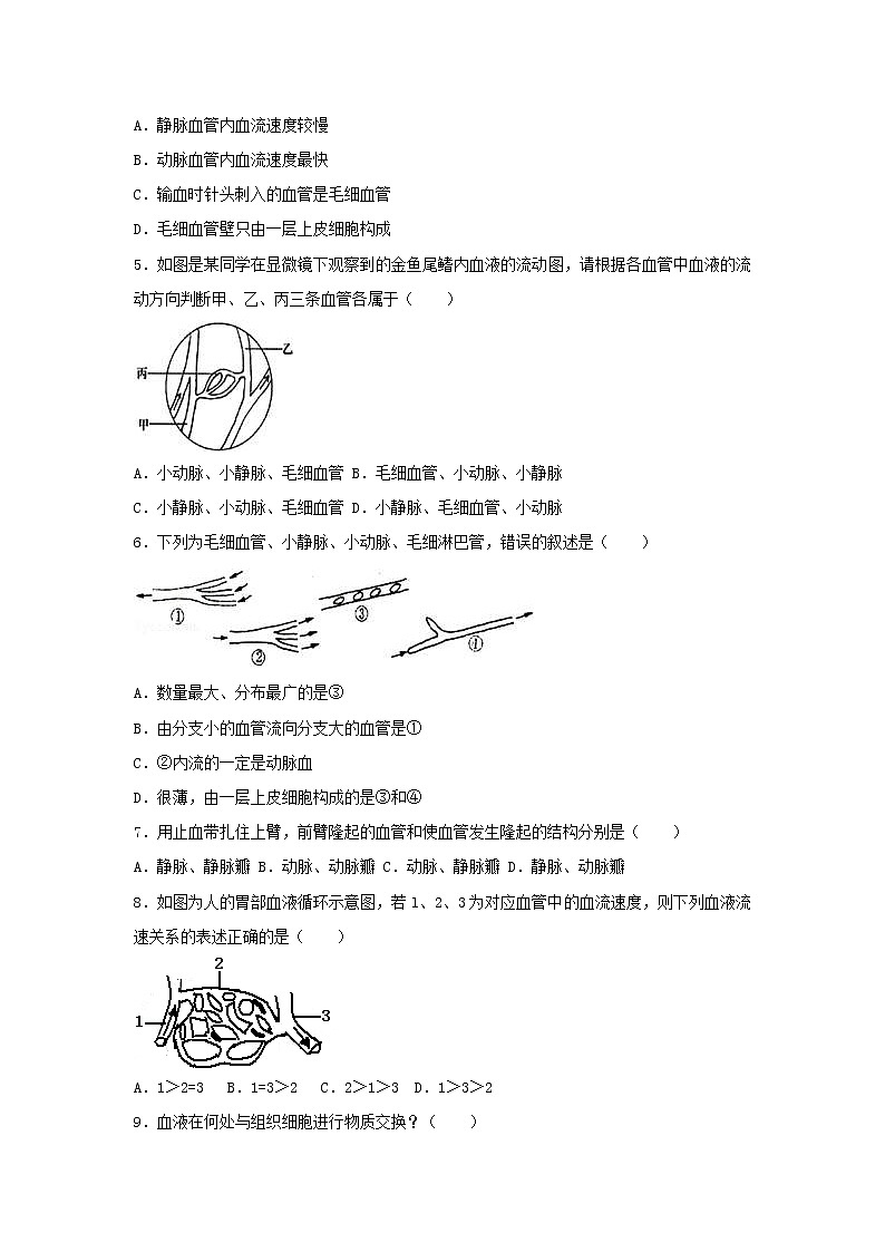 2021年人教版七年级生物下册 第4章第2节 血流的管道-血管 尖子生题(含答案)02