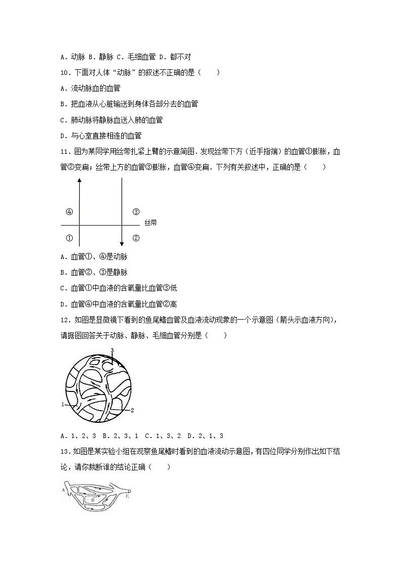2021年人教版七年级生物下册 第4章第2节 血流的管道-血管 尖子生题(含答案)03