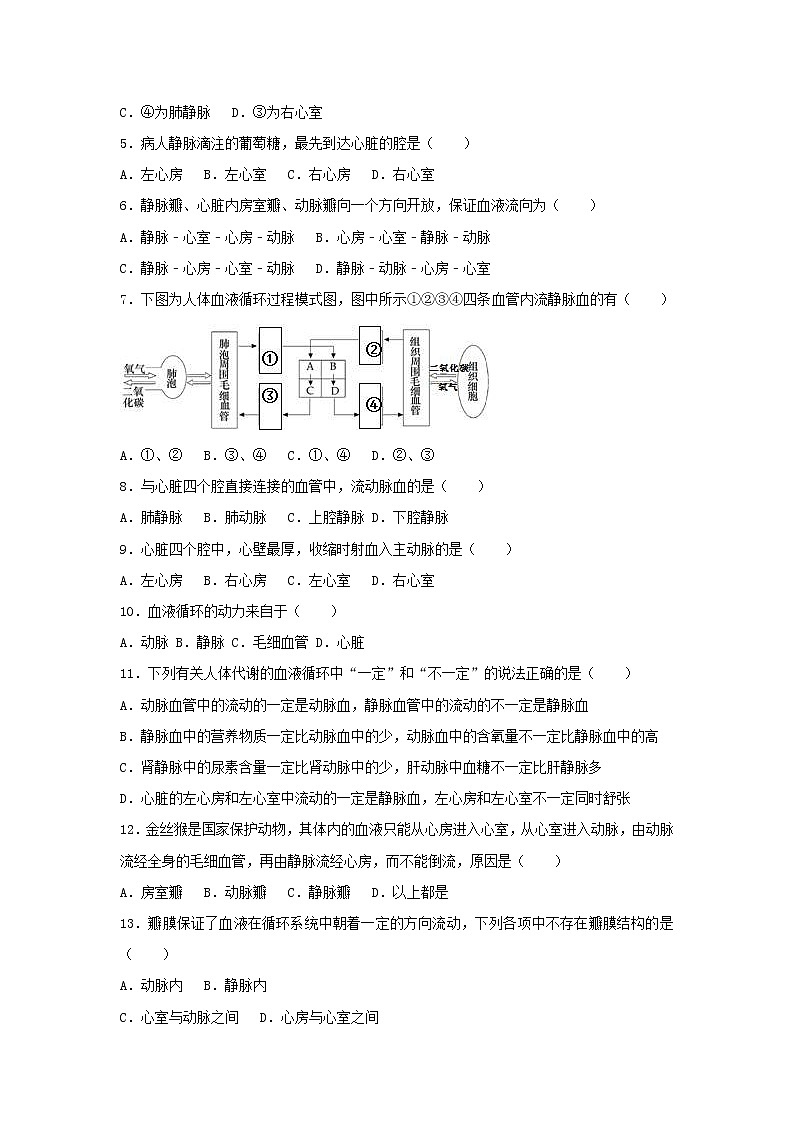 2021年人教版七年级生物下册 第4章第3节 输送血液的泵-心脏 基础练习(含答案)02