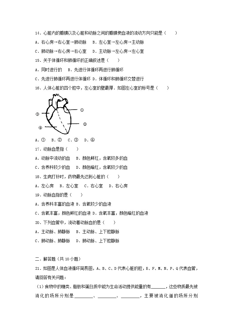 2021年人教版七年级生物下册 第4章第3节 输送血液的泵-心脏 基础练习(含答案)03