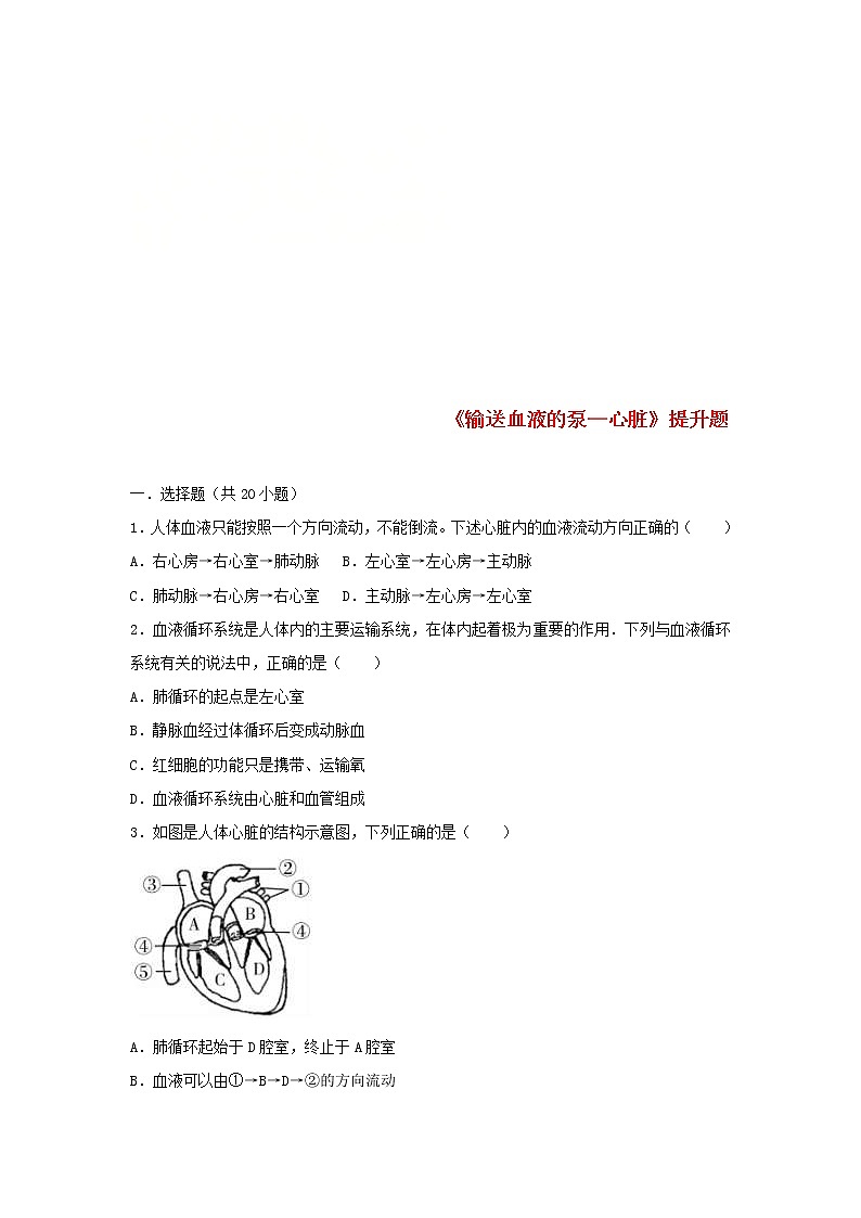 2021年人教版七年级生物下册 第4章第3节 输送血液的泵-心脏 提升题(含答案)01