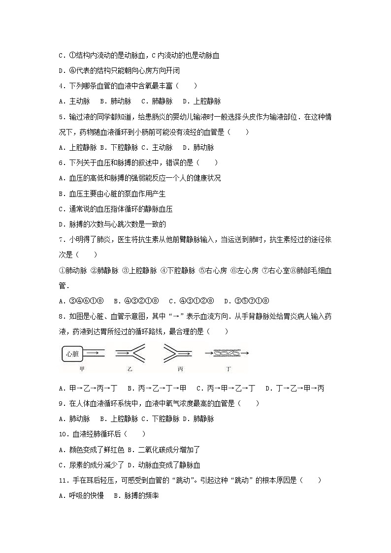 2021年人教版七年级生物下册 第4章第3节 输送血液的泵-心脏 提升题(含答案)02