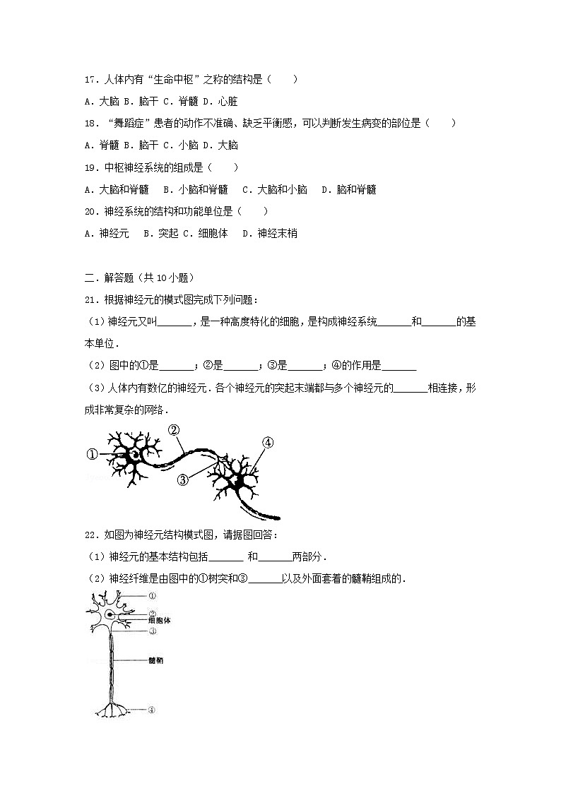 2021年人教版七年级生物下册 第6章第2节 神经系统的组成 基础练习(含答案)03