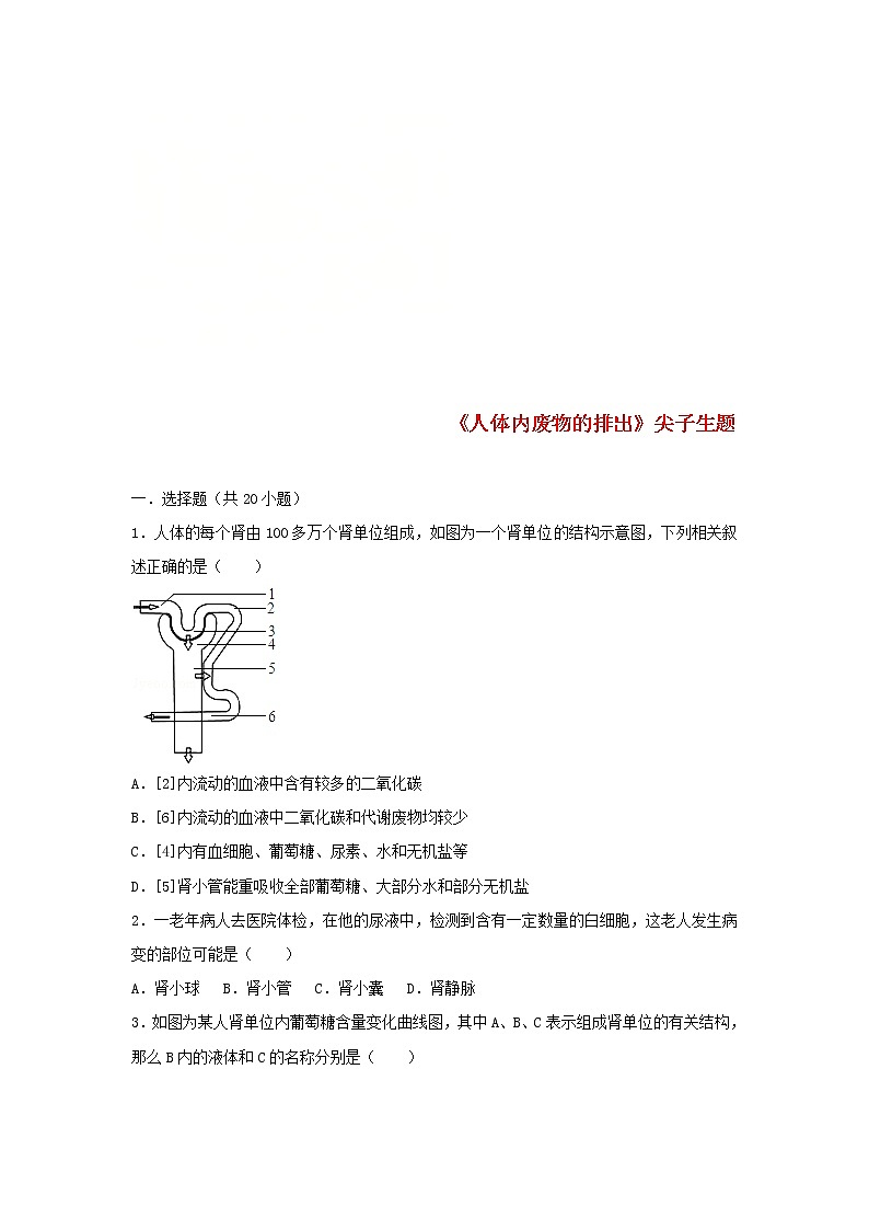 2021年人教版七年级生物下册 第5章 人体内废物的排出  尖子生题(含答案)01