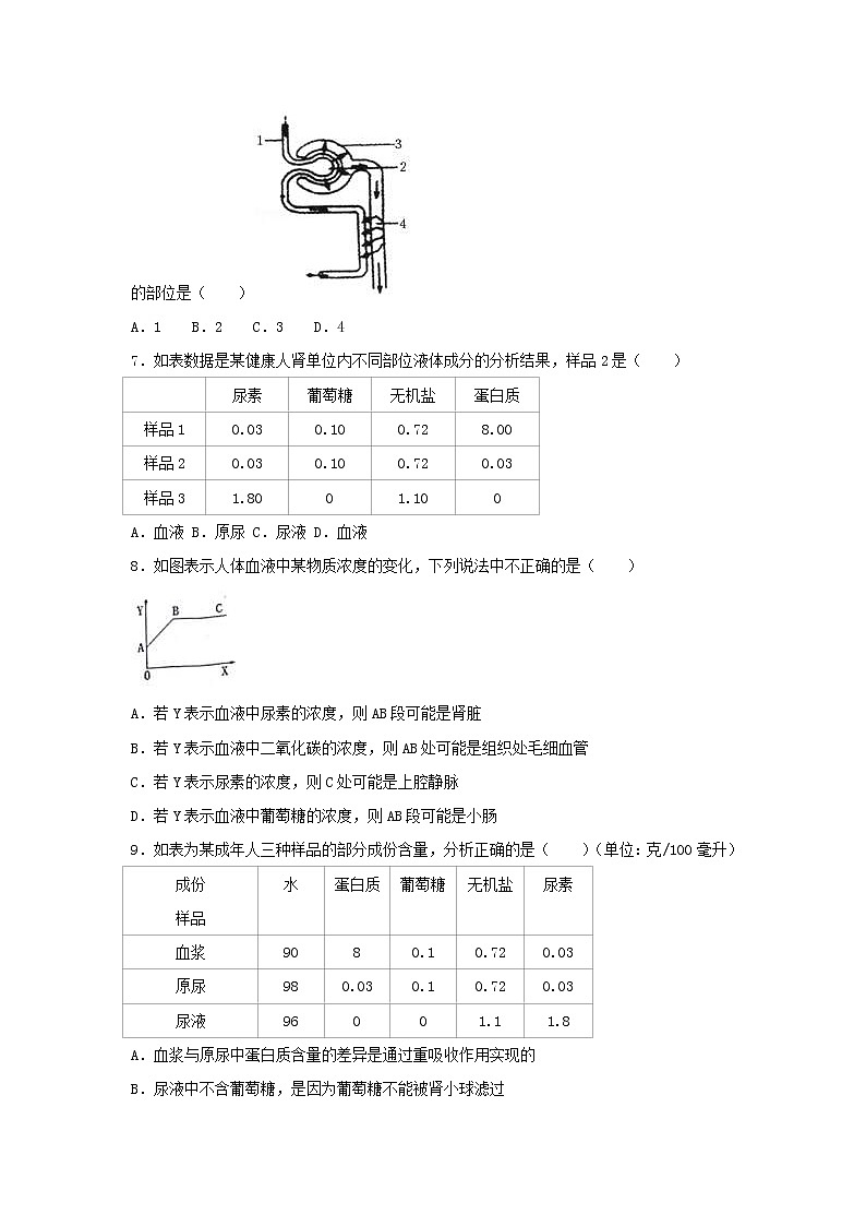 2021年人教版七年级生物下册 第5章 人体内废物的排出  尖子生题(含答案)03