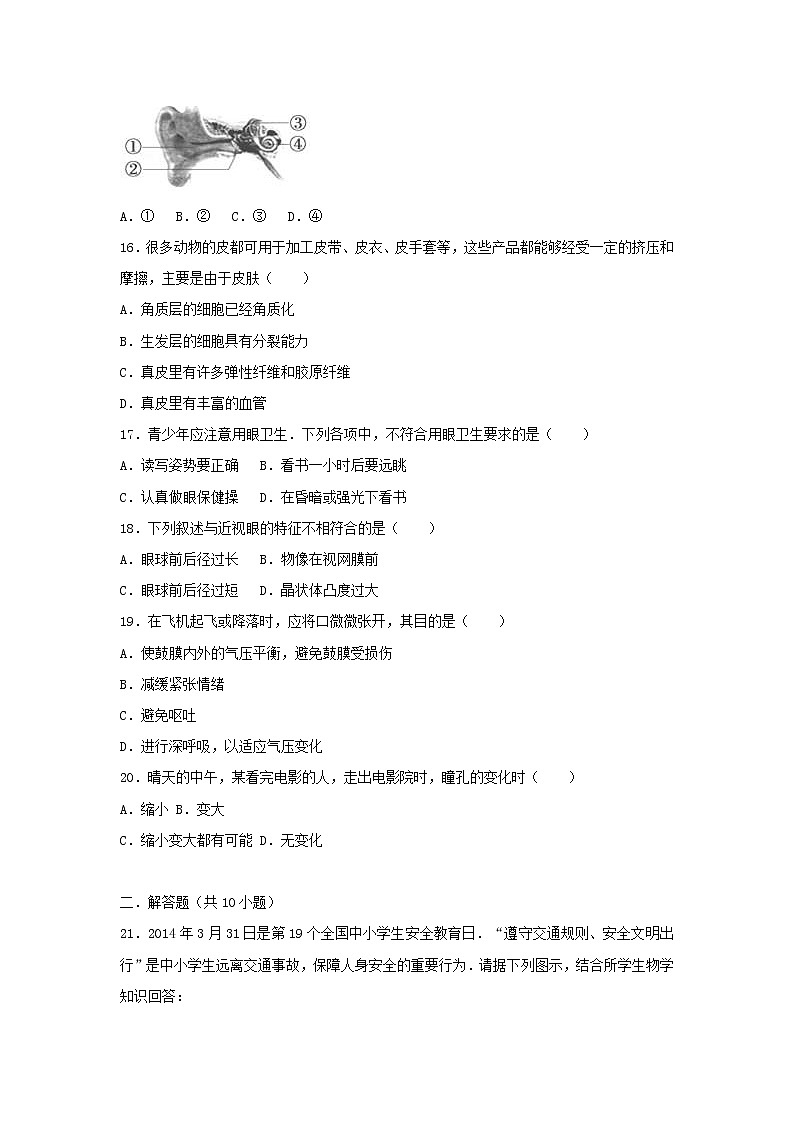 2021年人教版七年级生物下册 第6章第1节 人体对外界环境的感知 基础练习(含答案)第3页