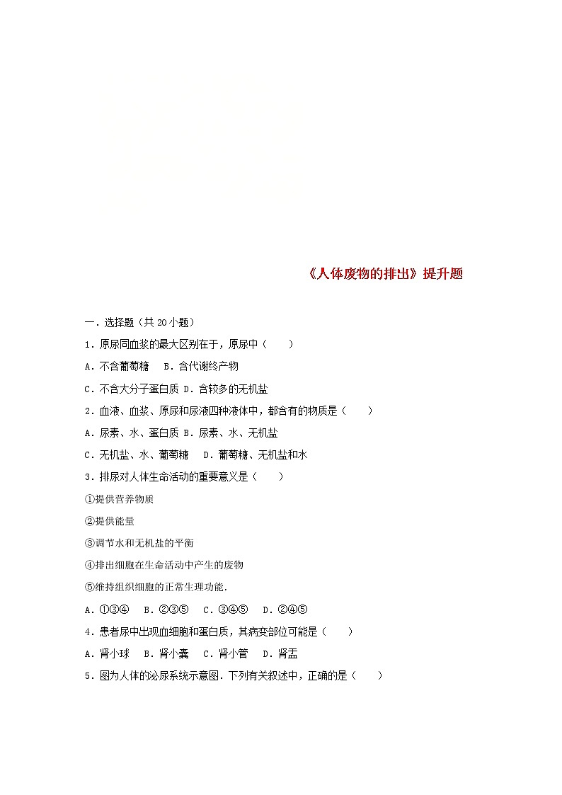 2021年人教版七年级生物下册 第5章 人体内废物的排出  提升题(含答案)01