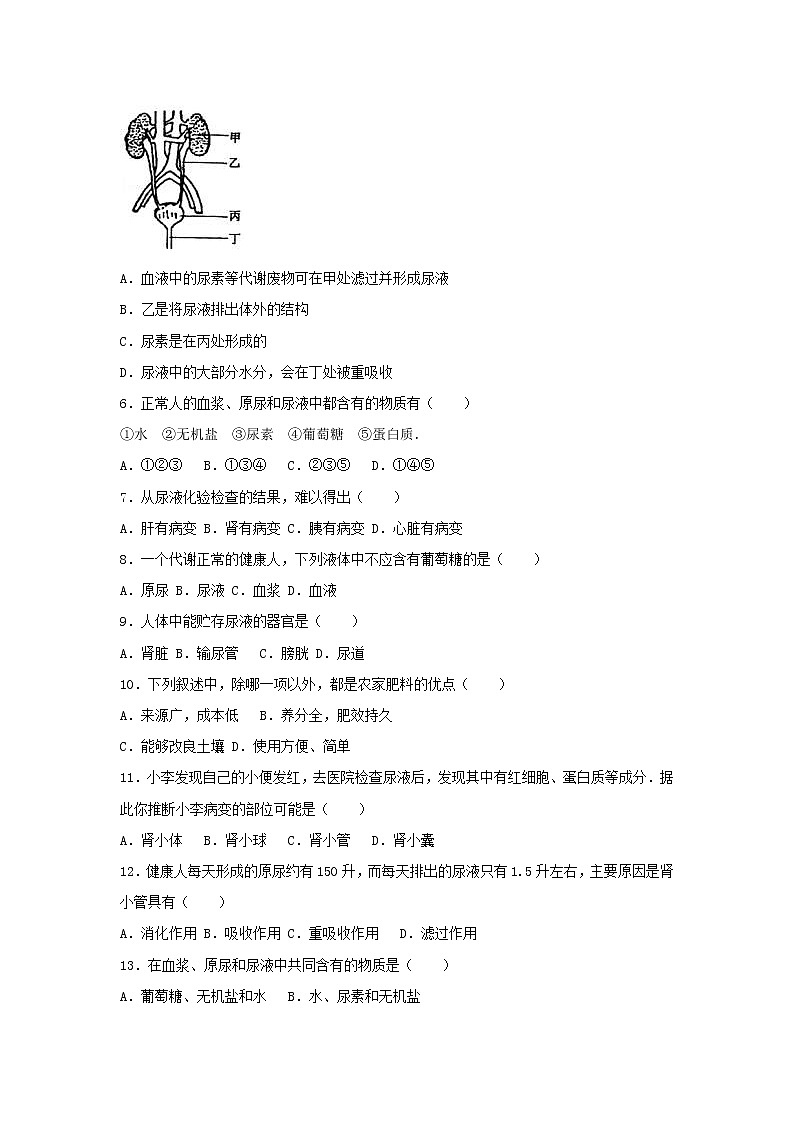 2021年人教版七年级生物下册 第5章 人体内废物的排出  提升题(含答案)02