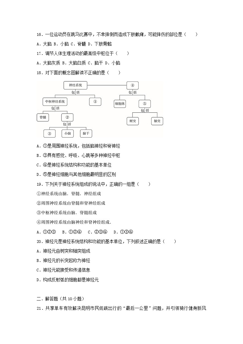 2021年人教版七年级生物下册 第6章第2节 神经系统的组成 提升题(含答案)03