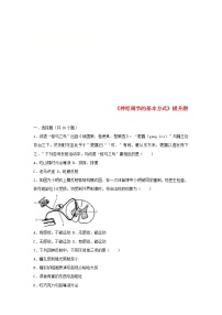 人教版 (新课标)七年级下册第四单元 生物圈中的人第六章 人体生命活动的调节第三节 神经调节的基本方式优秀复习练习题