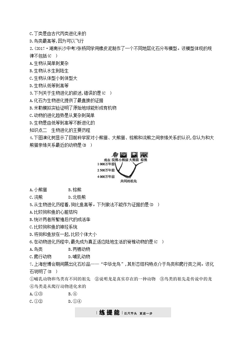 2021年济南版八年级生物下册5.1.3生物进化的历程 精练(含答案)02