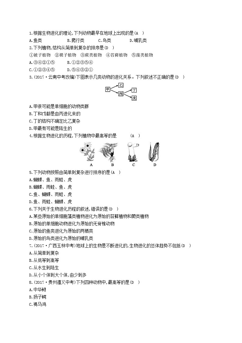 2021年济南版八年级生物下册5.1.3生物进化的历程 精练(含答案)03