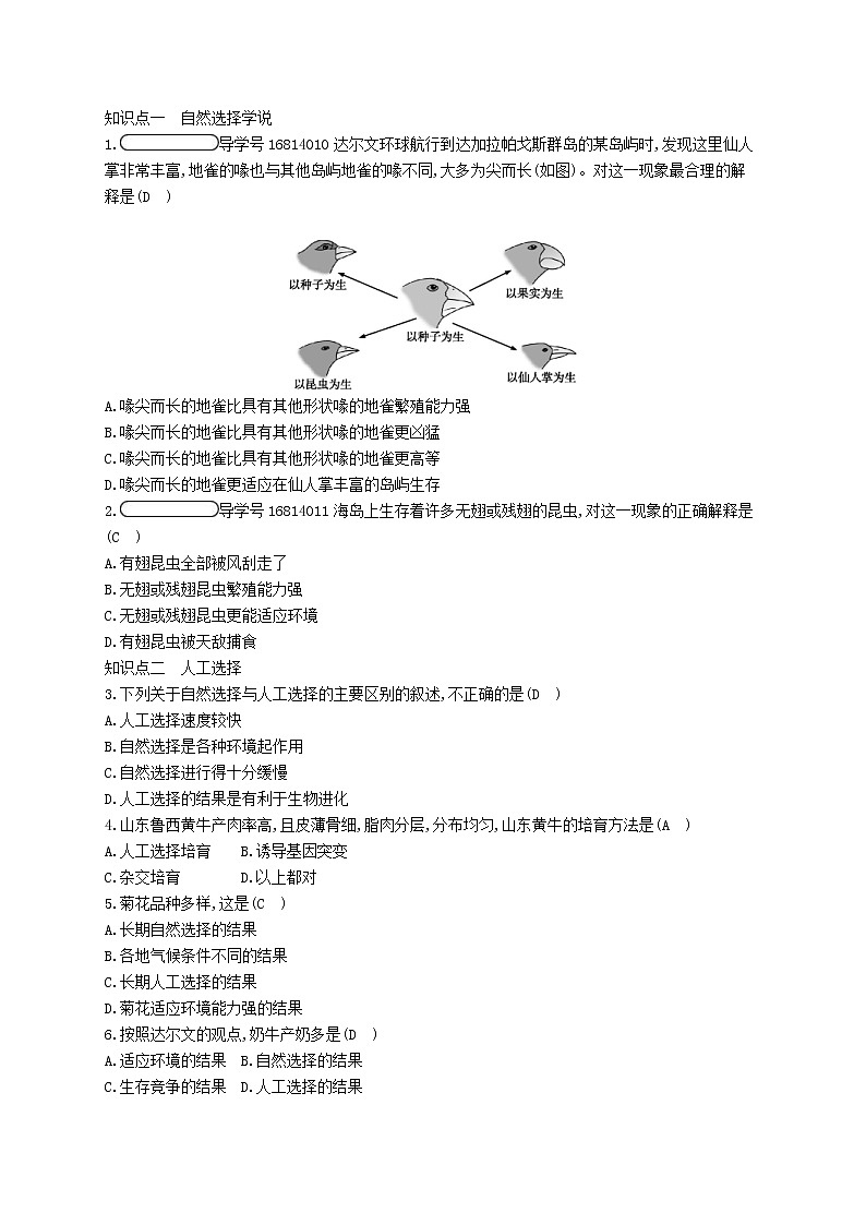 2021年济南版八年级生物下册5.1.4生物进化的原因 精练(含答案)02