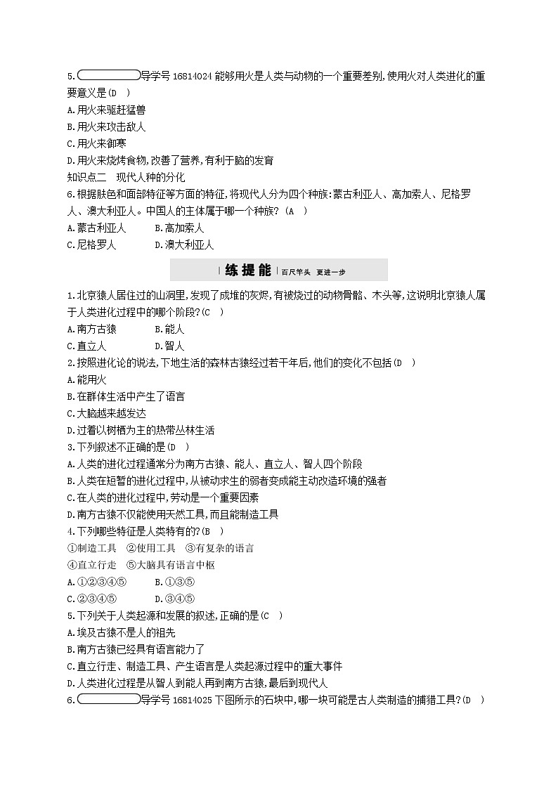 2021年济南版八年级生物下册5.2.2人类的进化 精练(含答案)03