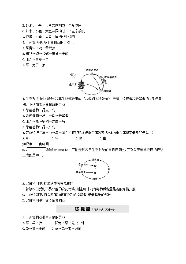 2021年济南版八年级生物下册6.2.2食物链和食物网 精练(含答案)02
