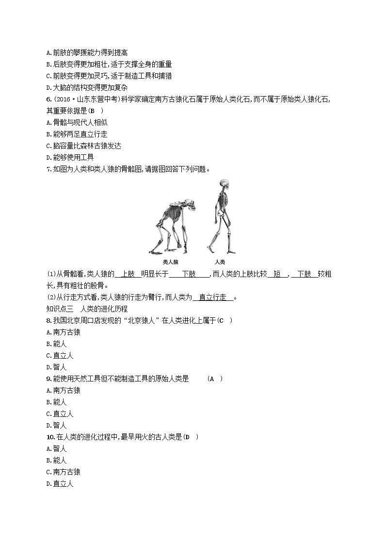2021年北师大版八年级生物下册第21章 第3节 人类的起源与进化 精练(含答案)03