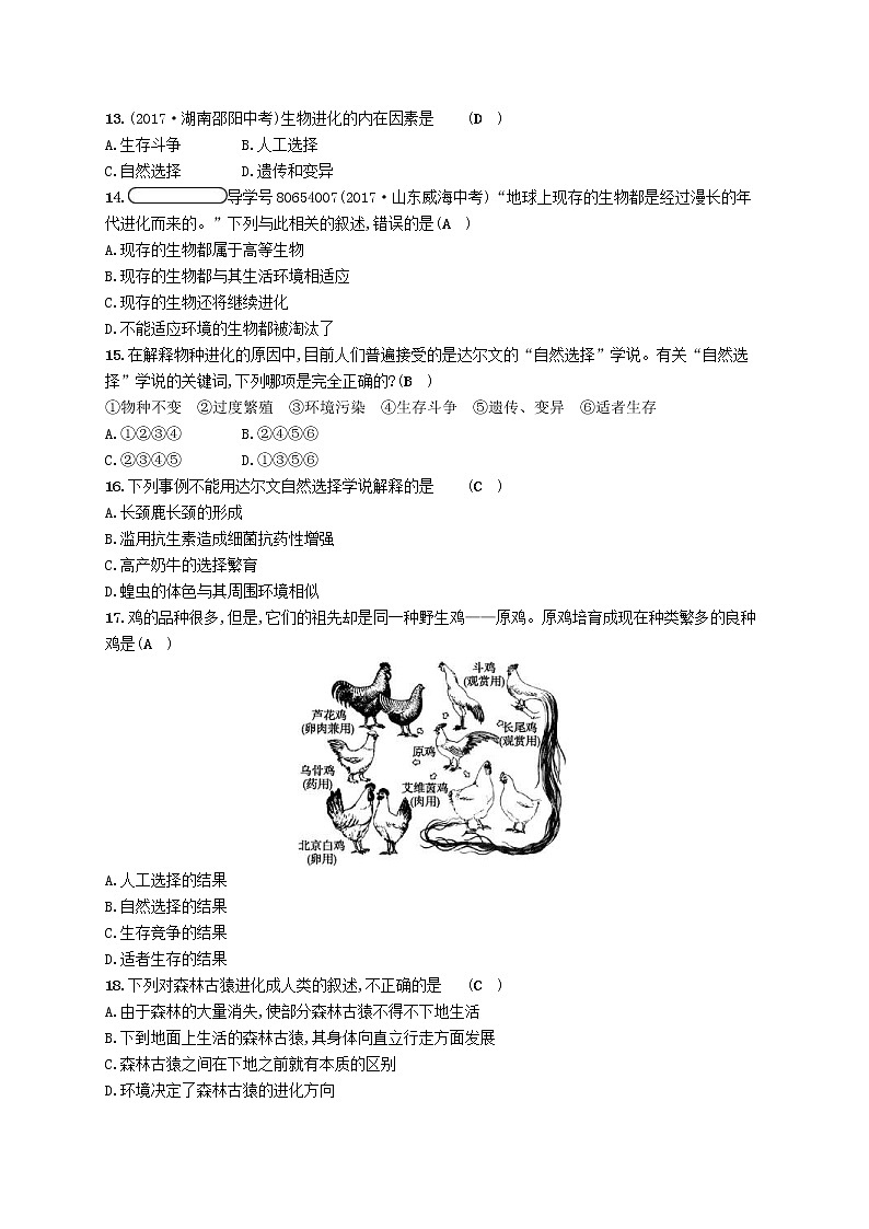 2021年北师大版八年级生物下册第21章 生命的发生和发展 阶段测评(含答案)03