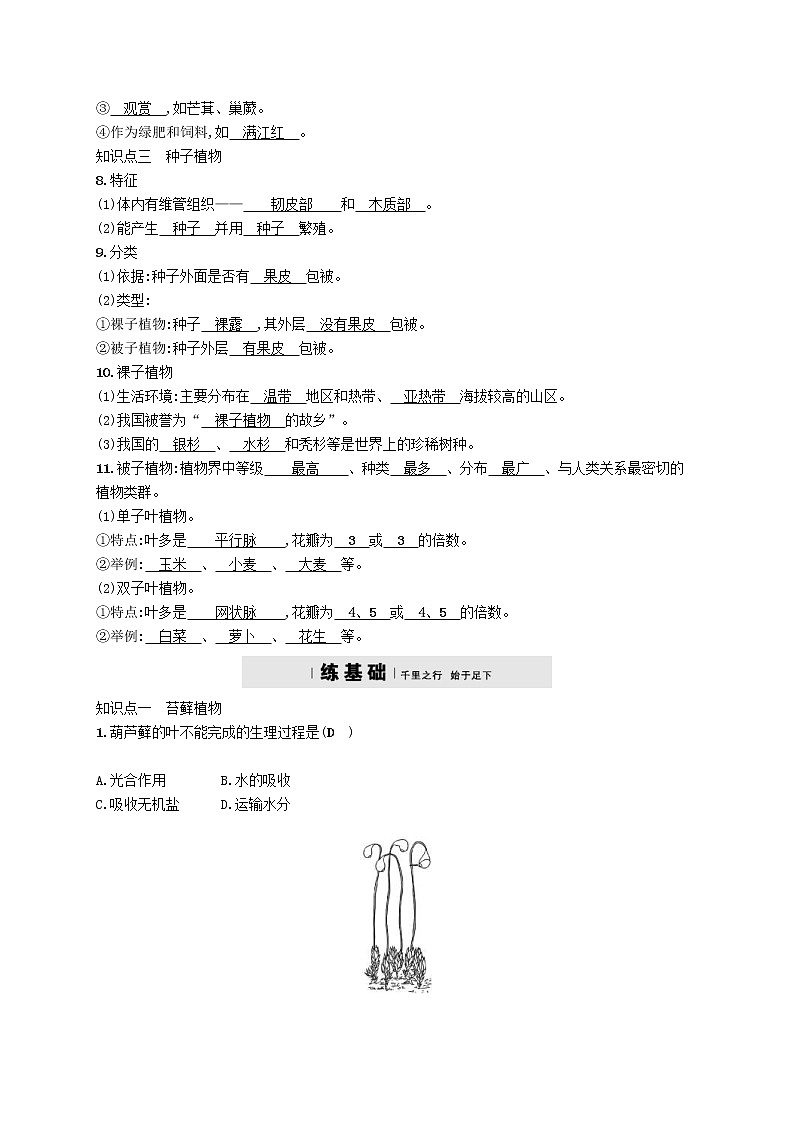 2021年北师大版八年级生物下册第22章 第3节 植物的主要类群 精练(含答案)02