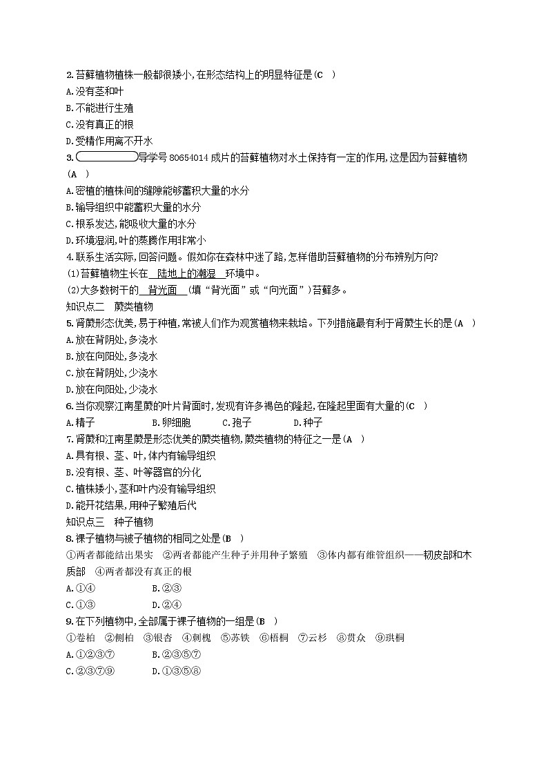 2021年北师大版八年级生物下册第22章 第3节 植物的主要类群 精练(含答案)03