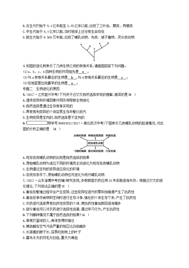 2021年北师大版八年级生物下册第22章 物种的多样性 专题整合训练(含答案)02