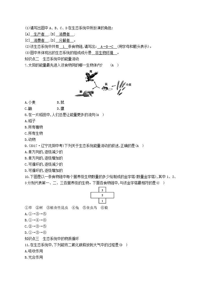 2021年北师大版八年级生物下册第23章 第3节 生态系统的结构和功能 精练(含答案)03