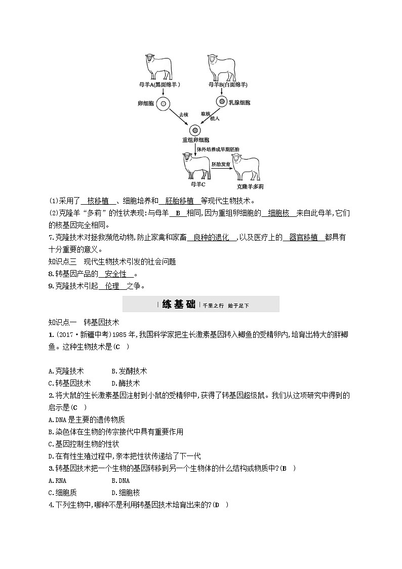 2021年北师大版八年级生物下册第25章 第2节 现代生物技术 精练(含答案)02
