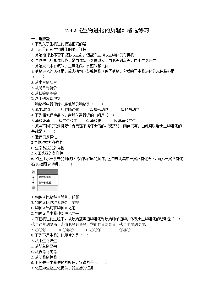 2021年人教版生物八年级下册7.3.2《生物进化的历程》精选练习 (含答案)01