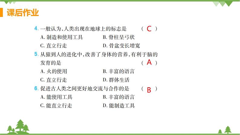 4.1.1  《人类的起源和发展 》课件+教案+预习作业（含答案）+教材习题+习题课件04