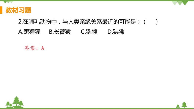 4.1.1  《人类的起源和发展 》课件+教案+预习作业（含答案）+教材习题+习题课件04