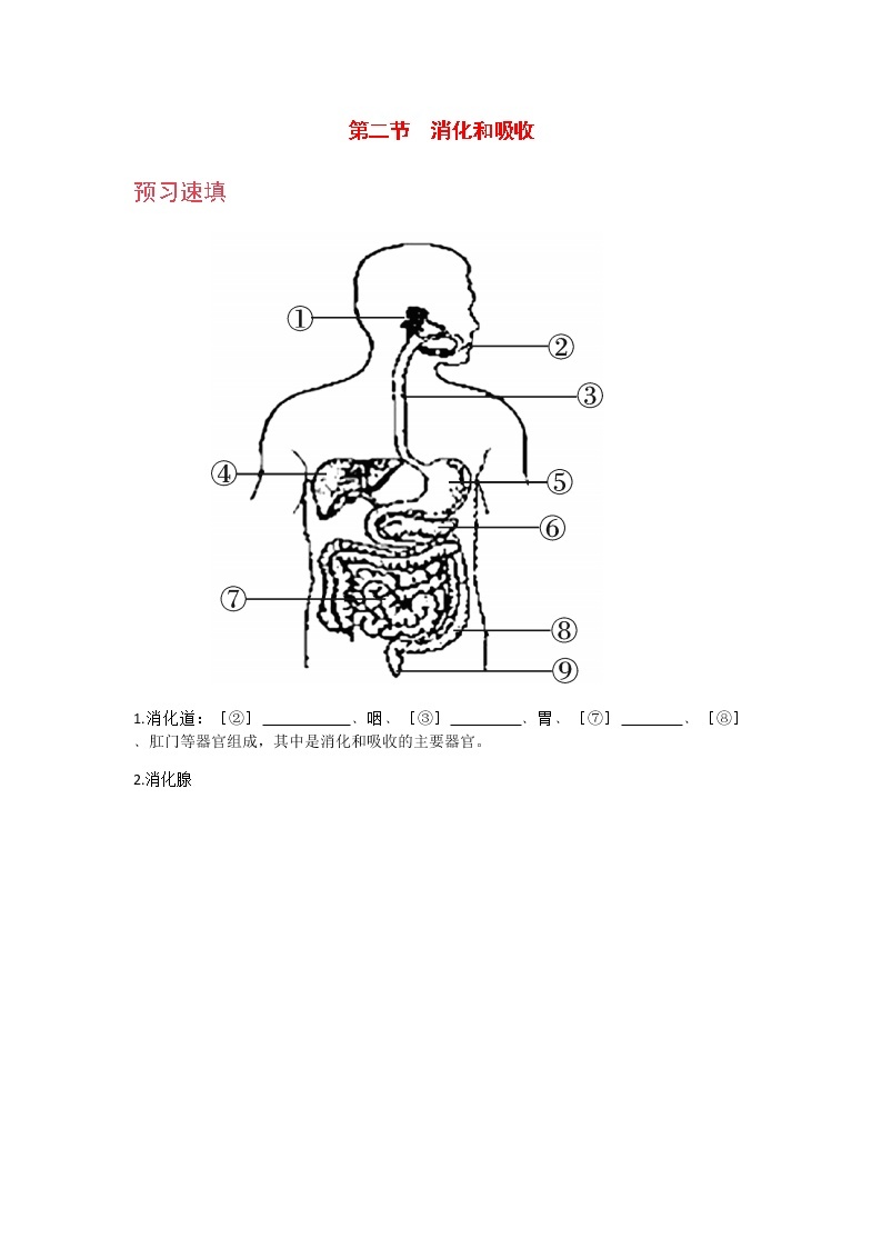 4.2.2  《消化和吸收 》课件+教案+预习作业（含答案）+教材习题+习题课件01