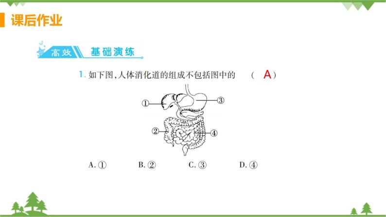 4.2.2  《消化和吸收 》课件+教案+预习作业（含答案）+教材习题+习题课件02