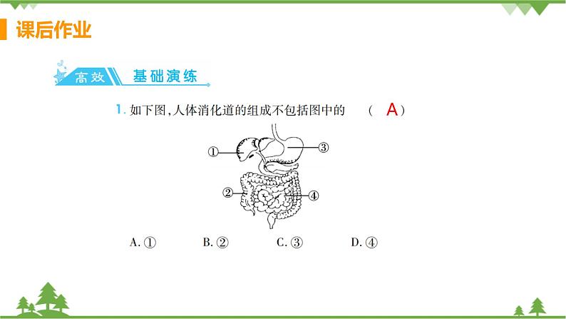 4.2.2  《消化和吸收 》课件+教案+预习作业（含答案）+教材习题+习题课件02