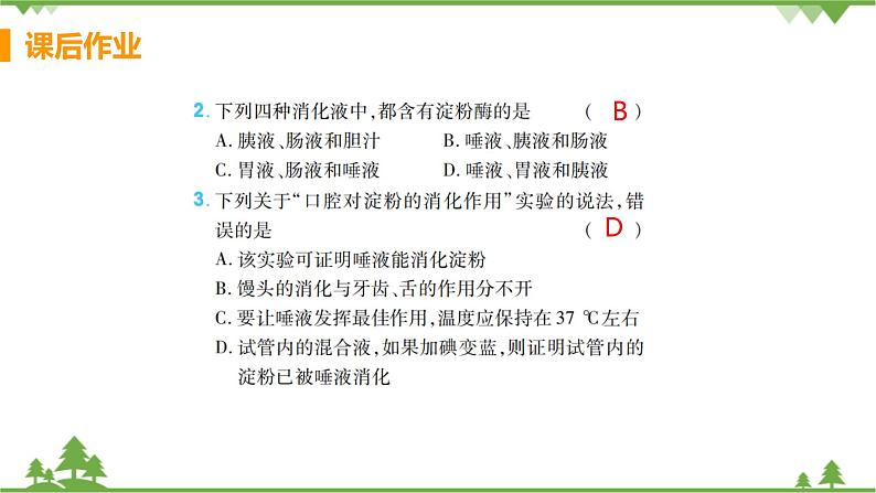 4.2.2  《消化和吸收 》课件+教案+预习作业（含答案）+教材习题+习题课件03