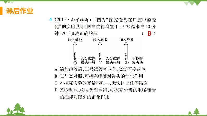 4.2.2  《消化和吸收 》课件+教案+预习作业（含答案）+教材习题+习题课件04