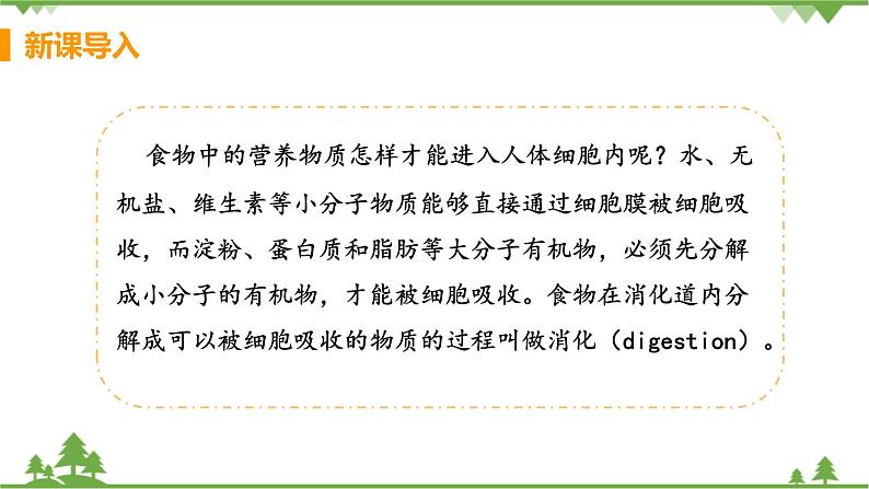 4.2.2  《消化和吸收 》课件+教案+预习作业（含答案）+教材习题+习题课件05