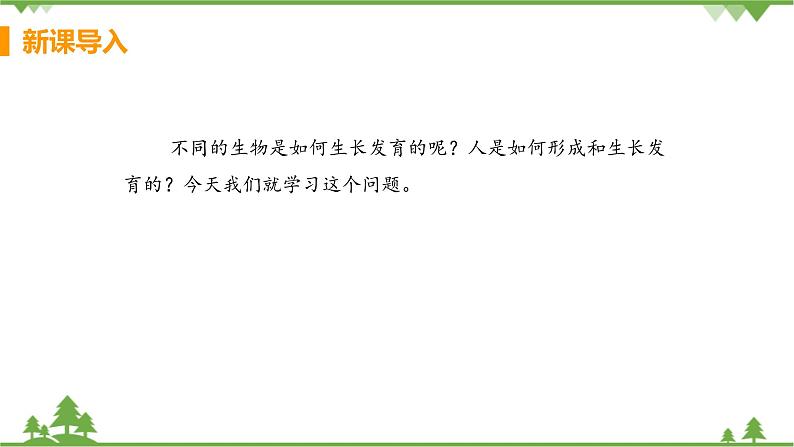 4.1.2  《人的生殖 》课件+教案+预习作业（含答案）+教材习题+习题课件04